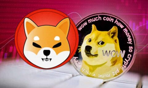 Terror no canil: memecoins Shiba e Dogecoin tem mais 70% de queda