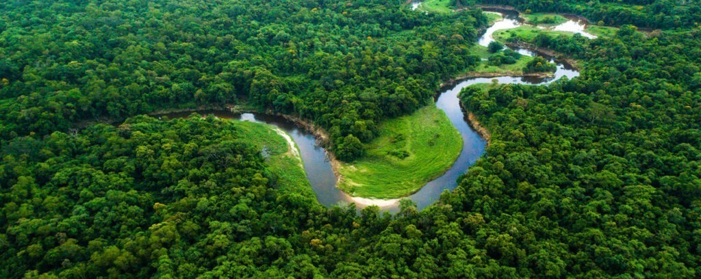 Estado irá dar 30 milhões à projetos de blockchain para ajudar Amazônia