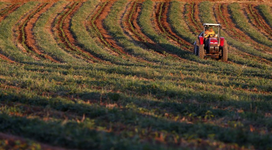 Exportação de fertilizantes de Belarus para o Brasil é interrompida