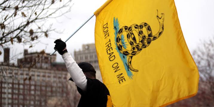 Ativista Libertário erguendo a bandeira de Gadsden